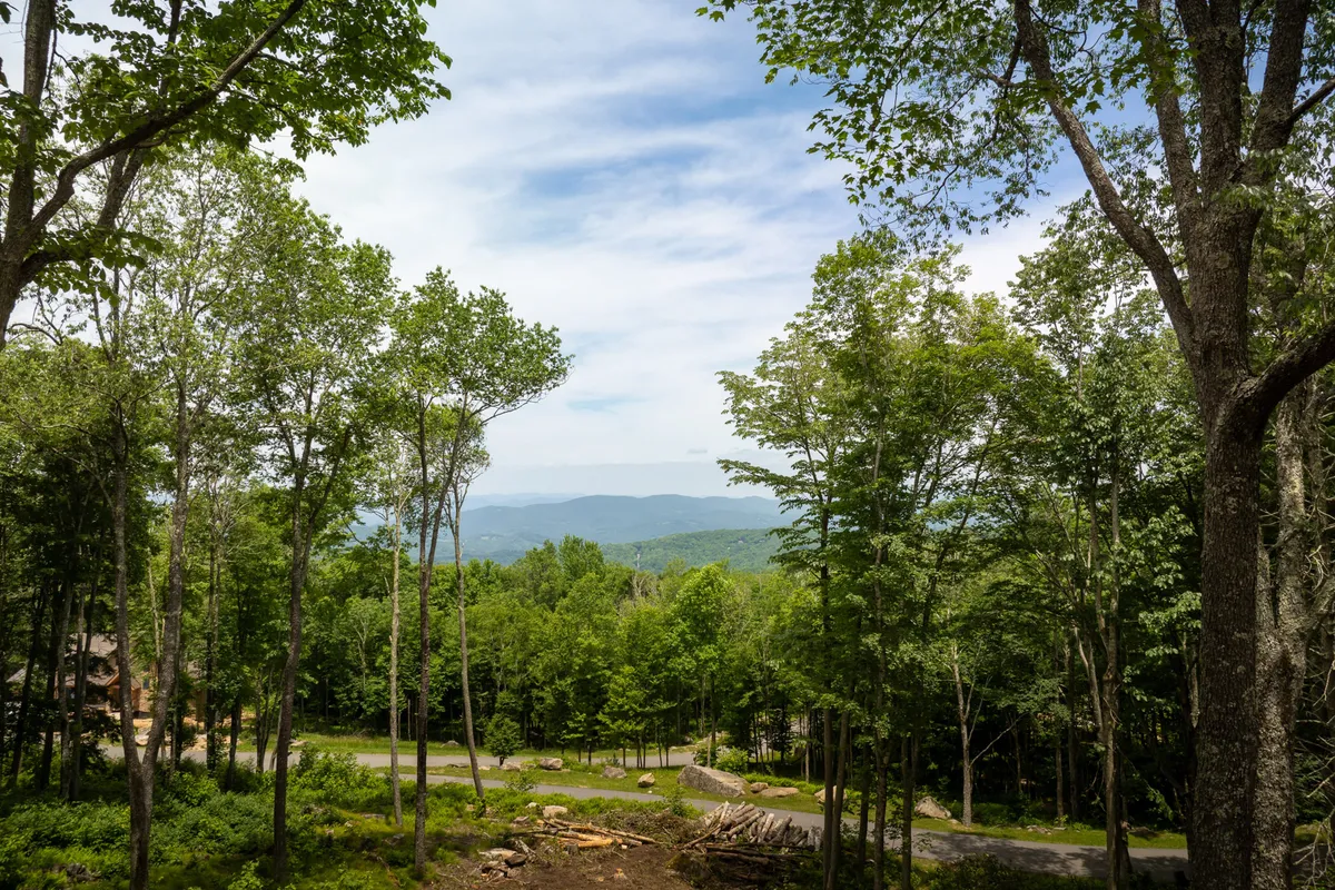 A sweeping mountain vista featuring lush green trees and a winding road that invites exploration. The expansive view highlights the natural beauty and adventure potential of the area, ideal for hiking, biking, and immersing yourself in the outdoors.
